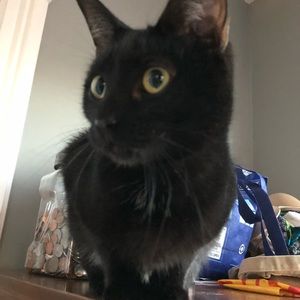 Meet your Posher, Jennie